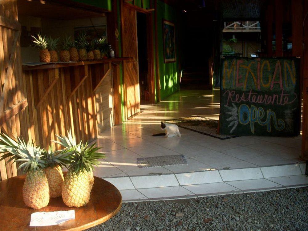 Lizard King Hotel & Suites Puerto Viejo de Talamanca Esterno foto